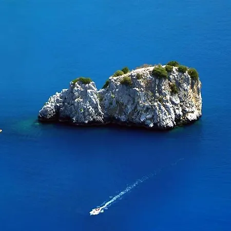 Ss. Trinita *